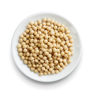 soybean png32